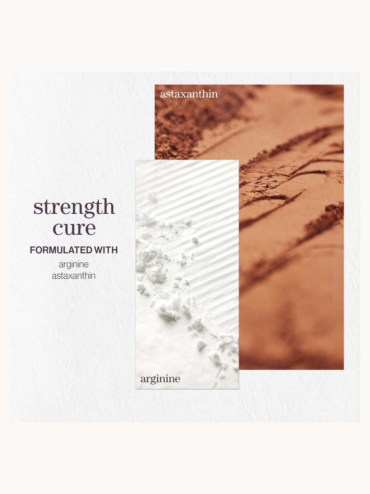 Pureology Strength Cure Strengthening Conditioner 1000ml – brand image 3
