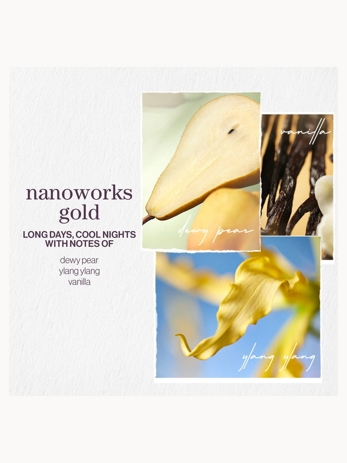 Pureology Nanoworks Gold Conditioner 266ml – brand image 7